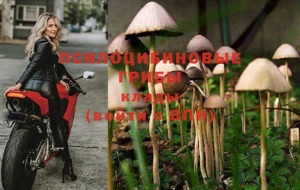 экстази Беломорск