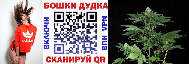 Канабис MAZAR  Мглин 